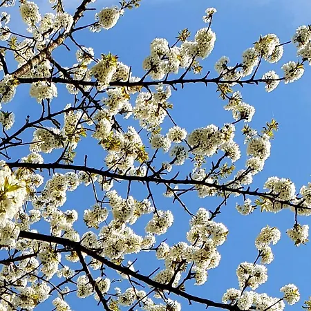 Gutshaus De La Fontaine 度假居