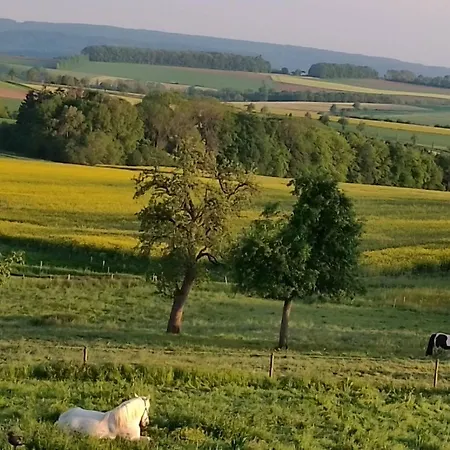 Gutshaus De La Fontaine Feilsdorf