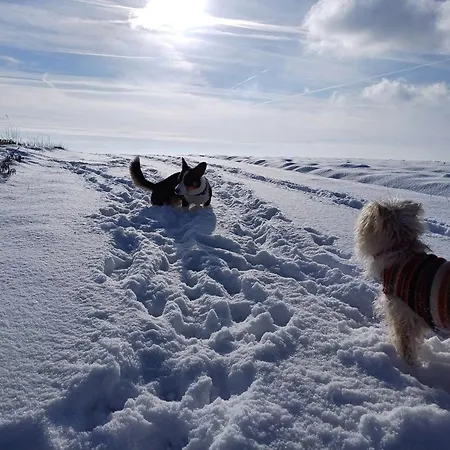 Gutshaus De La Fontaine Dom wakacyjny *