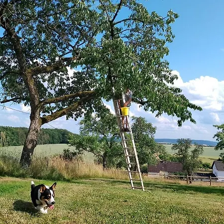 度假居 Gutshaus De La Fontaine *