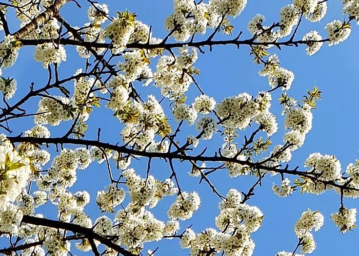 Gutshaus De La Fontaine Vakantiehuis