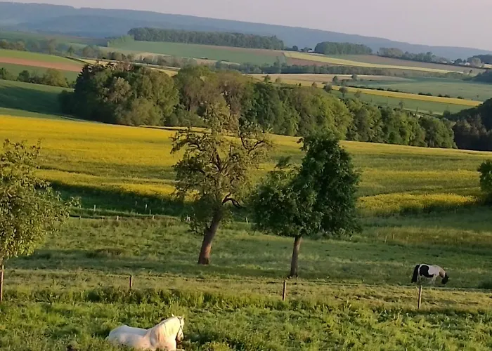 Gutshaus De La Fontaine Feilsdorf