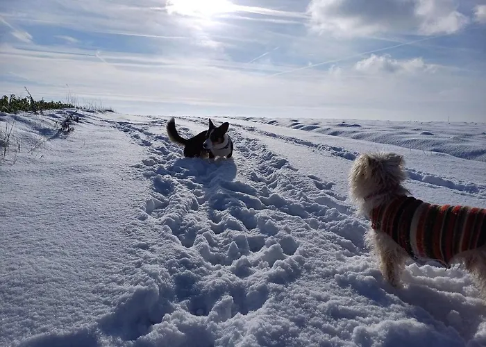 Gutshaus De La Fontaine Vakantiehuis *