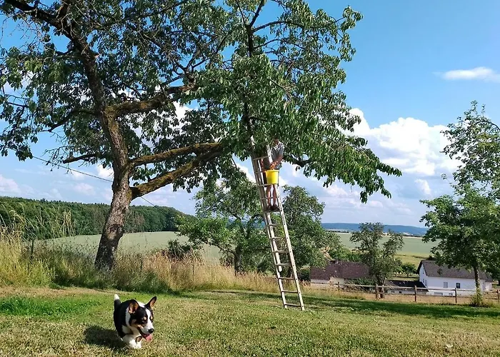 Vakantiehuis Gutshaus De La Fontaine *